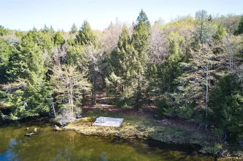 453 Little Ireland Road Livingston Manor NY 12758