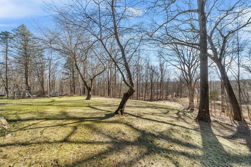 3 Fredrick Drive Monroe NY 10950