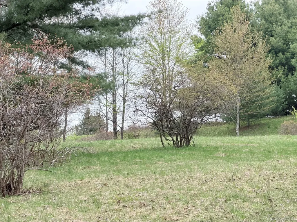 Muthig Road Fallsburg NY 12733