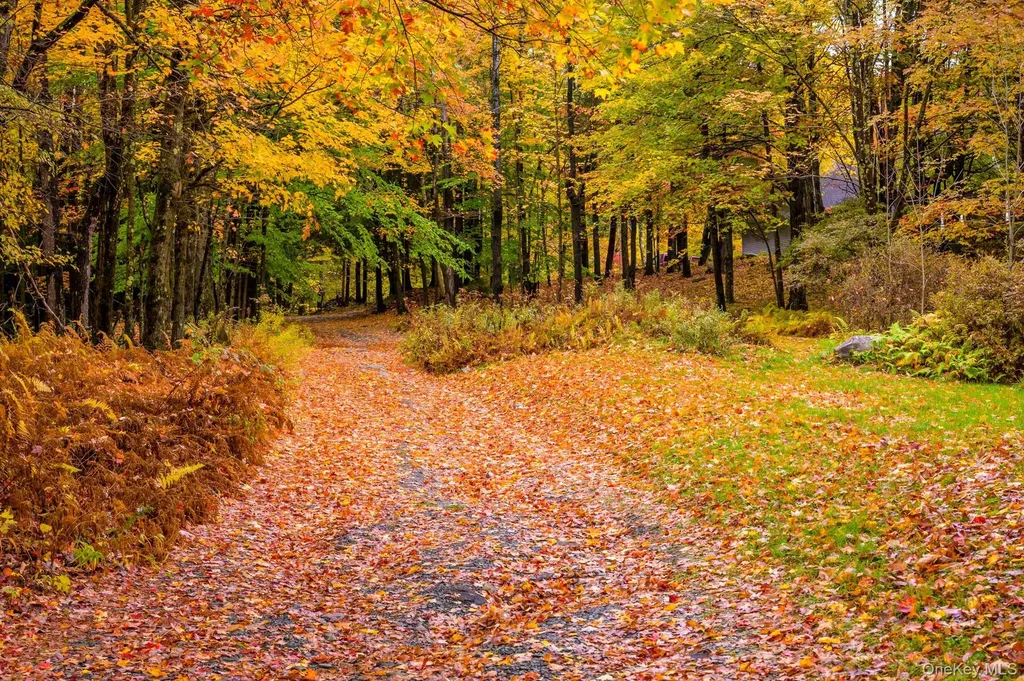 1013 Plank Road Other NY 12140