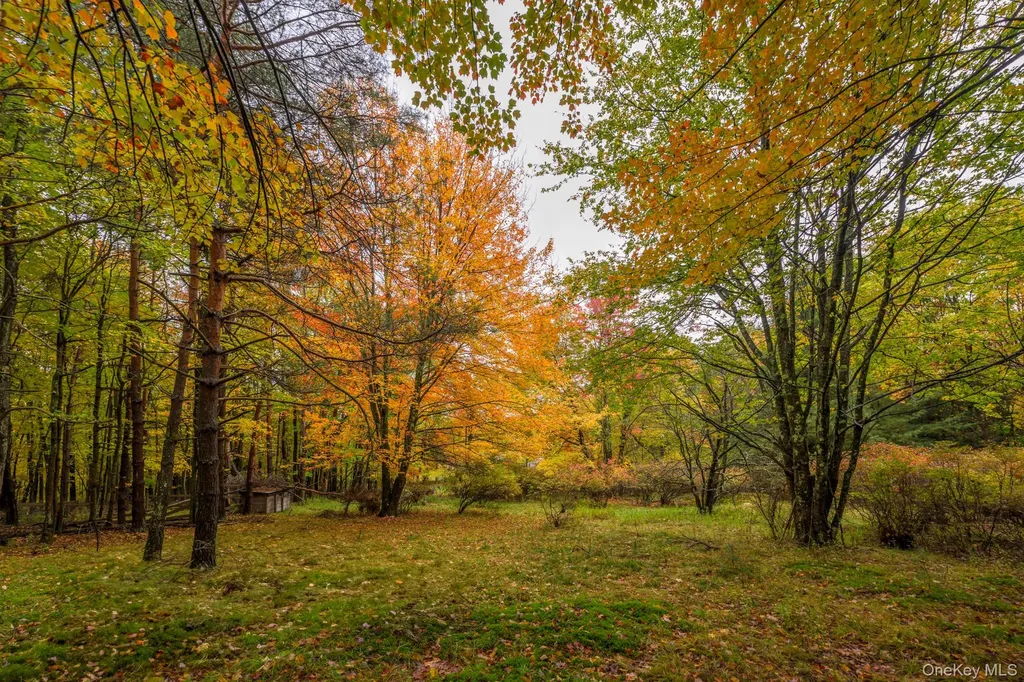 1013 Plank Road Other NY 12140