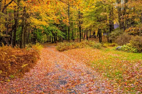 1013 Plank Road Other NY 12140