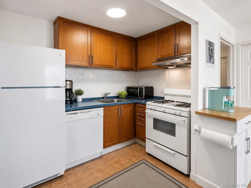 81-15 Queens Boulevard 7c Elmhurst NY 11373
