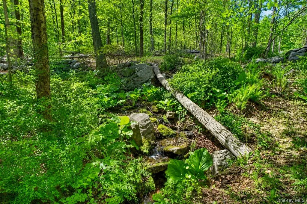 22 Hazel Hill Road Mahopac NY 10541