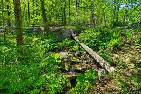 22 Hazel Hill Road Mahopac NY 10541
