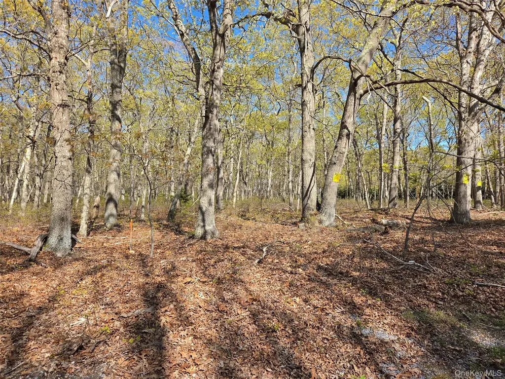 1796 Majors Path Southampton NY 11968