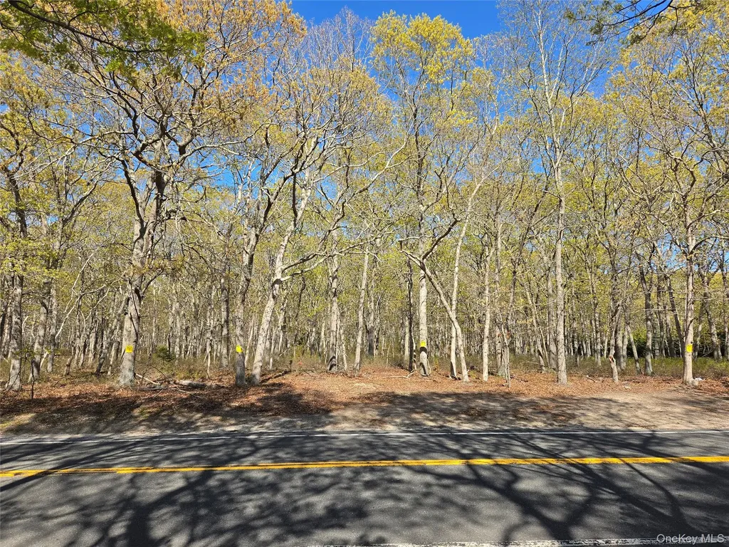 1796 Majors Path Southampton NY 11968