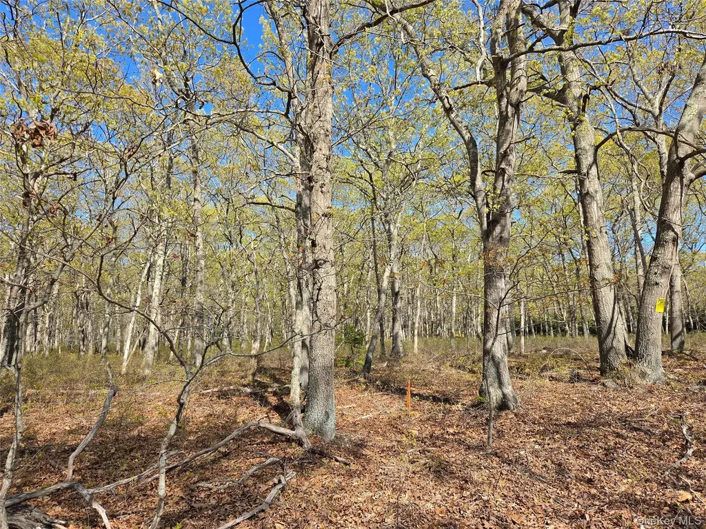 1796 Majors Path Southampton NY 11968