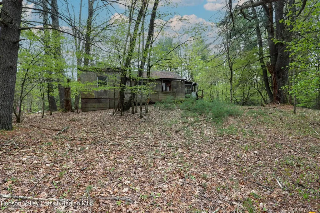 44 Pine Grove Road Kerhonkson NY 12446