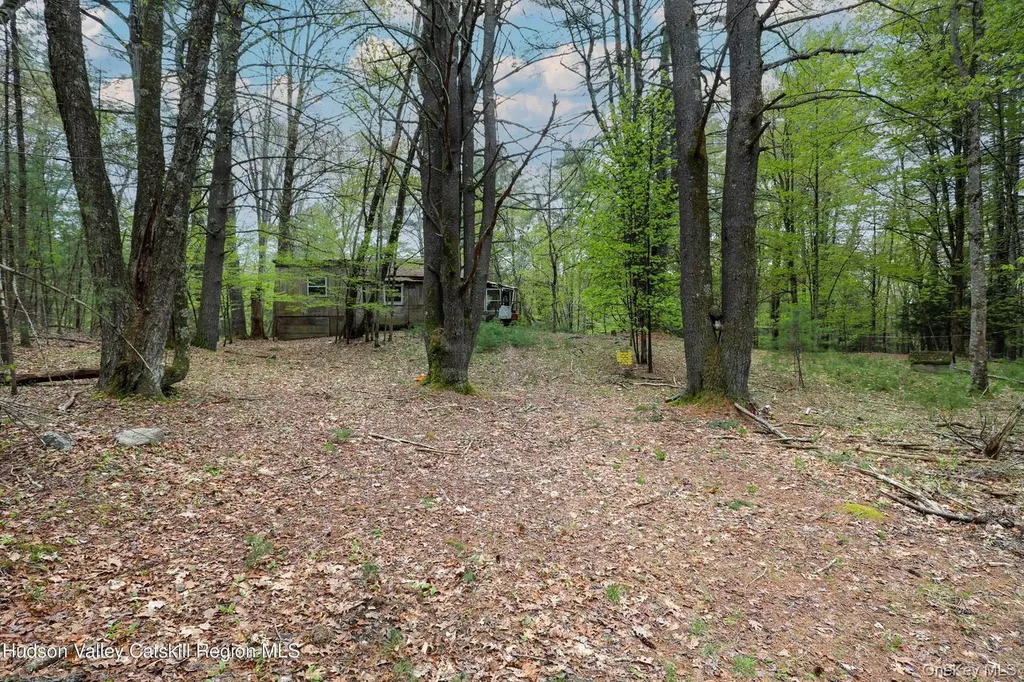 44 Pine Grove Road Kerhonkson NY 12446