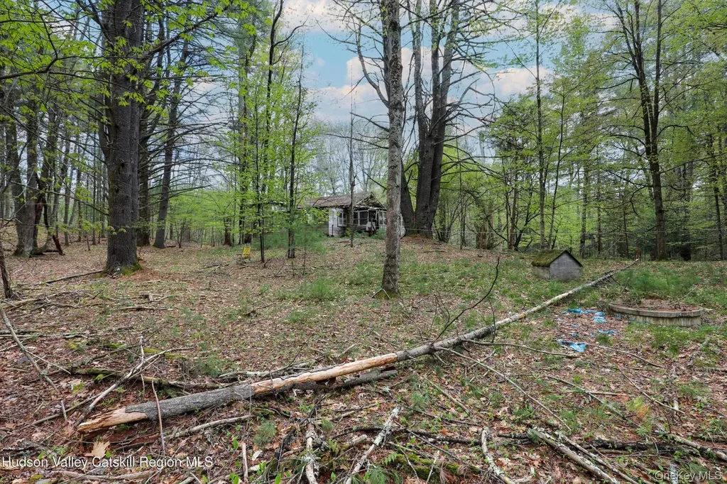 44 Pine Grove Road Kerhonkson NY 12446