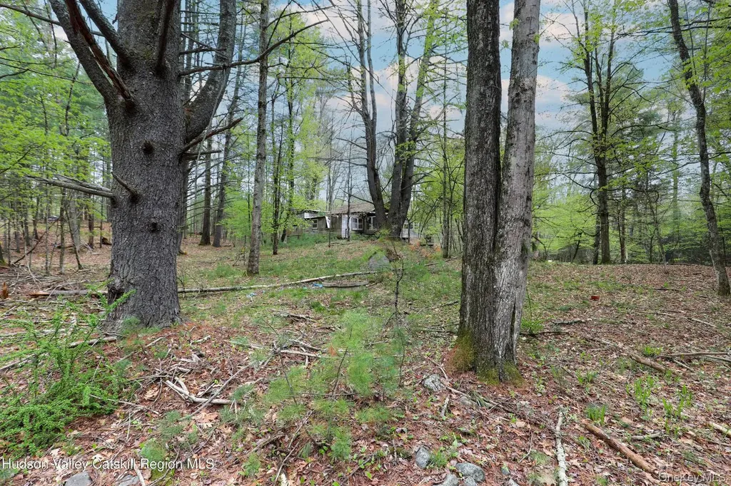 44 Pine Grove Road Kerhonkson NY 12446