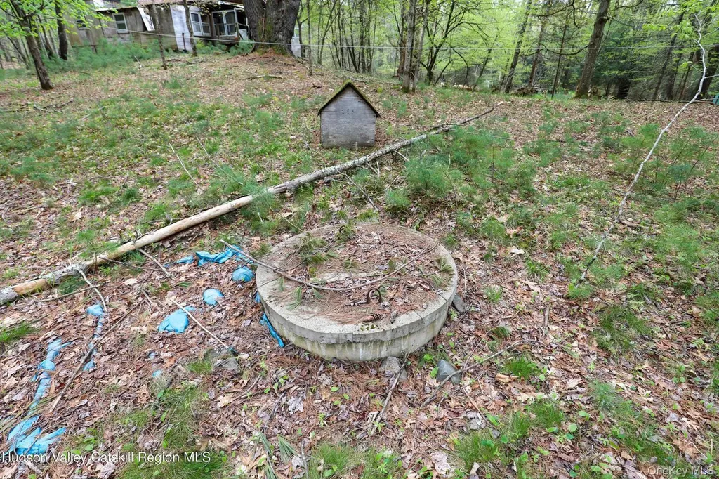 44 Pine Grove Road Kerhonkson NY 12446