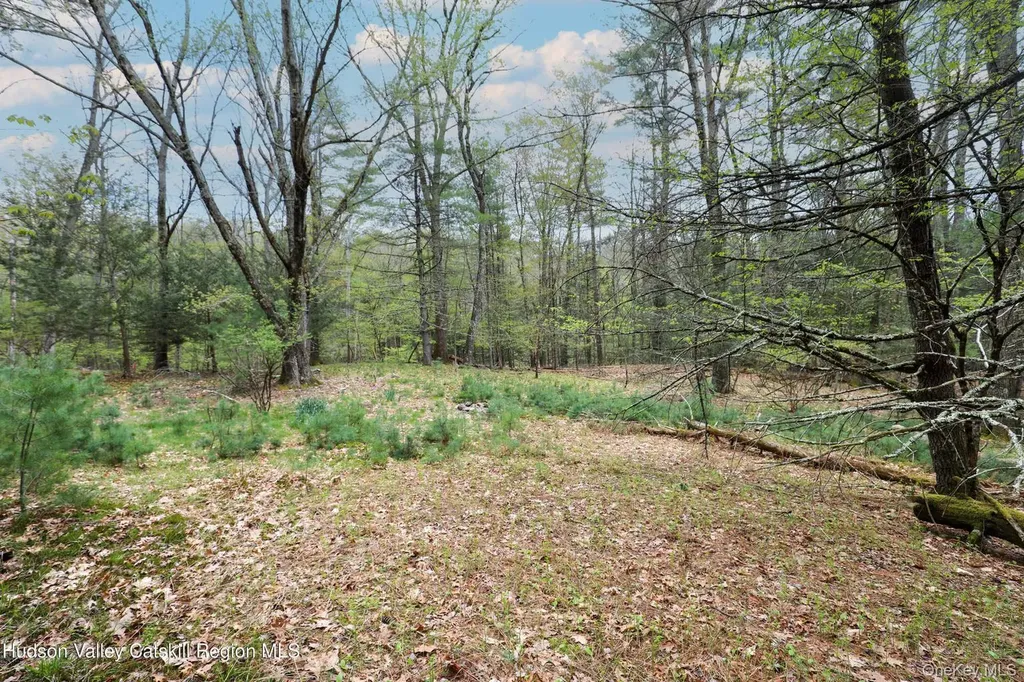 44 Pine Grove Road Kerhonkson NY 12446