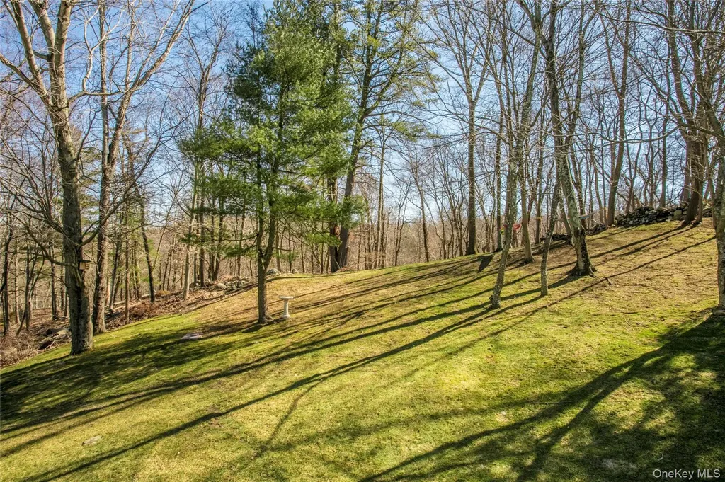 5 Hoffman Road Mount Kisco NY 10549