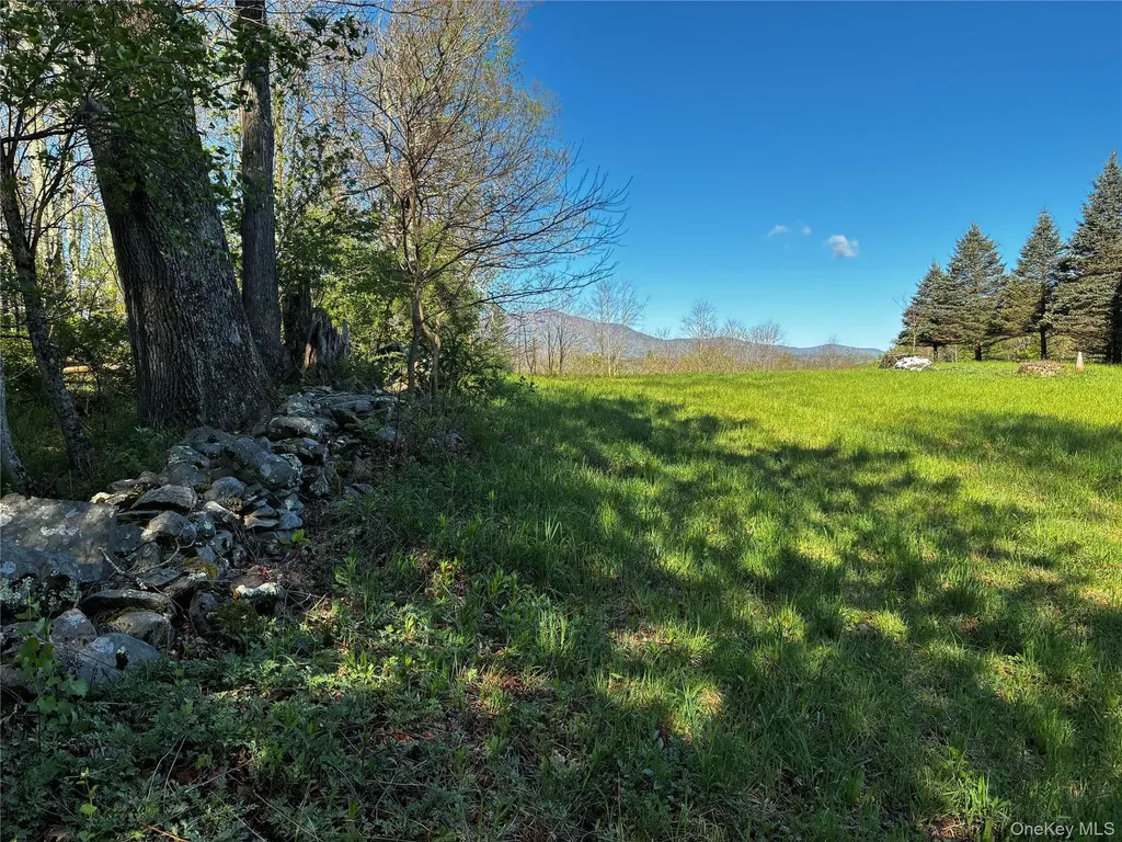 8207 Route 32 Cairo NY 12413