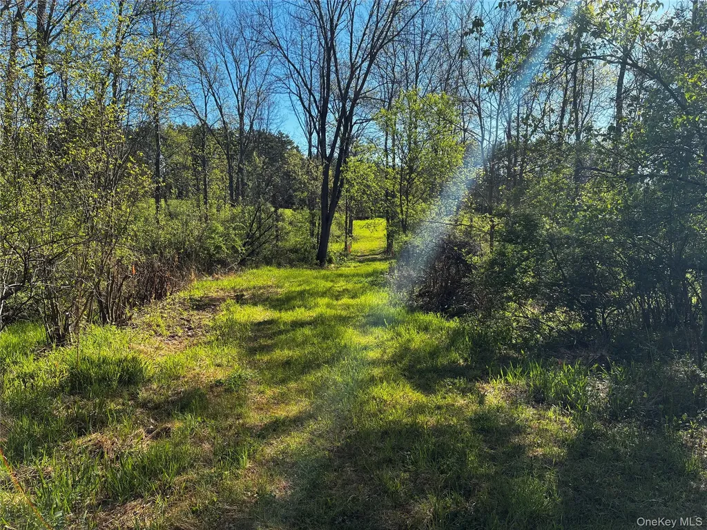 8207 Route 32 Cairo NY 12413