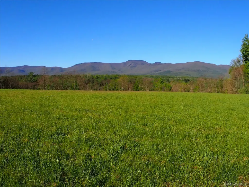 8207 Route 32 Cairo NY 12413