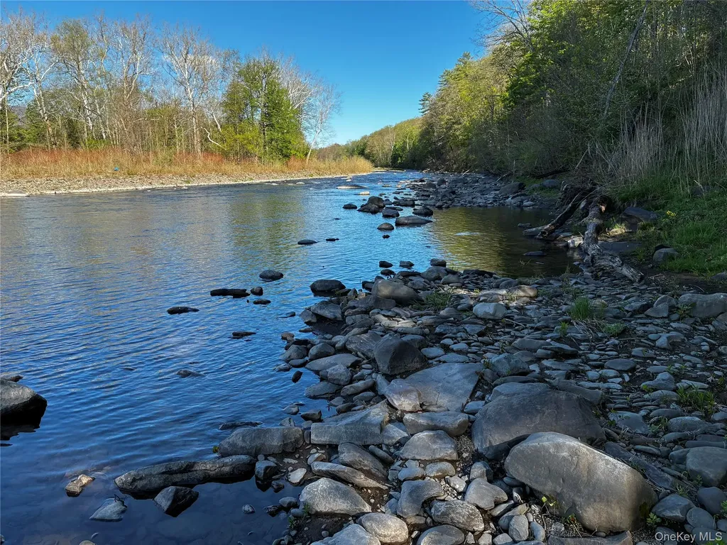 8207 Route 32 Cairo NY 12413