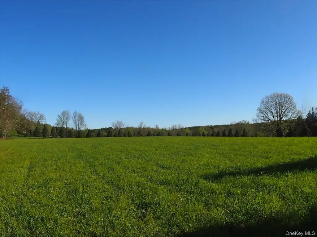 8207 Route 32 Cairo NY 12413