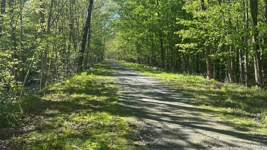 176 Mountaindale Main Street Mountain Dale NY 12763
