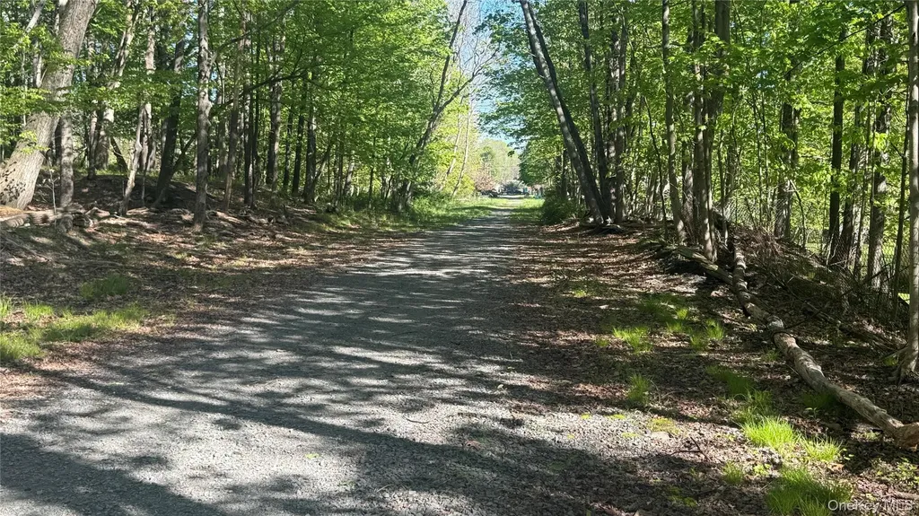 176 Mountaindale Main Street Mountain Dale NY 12763