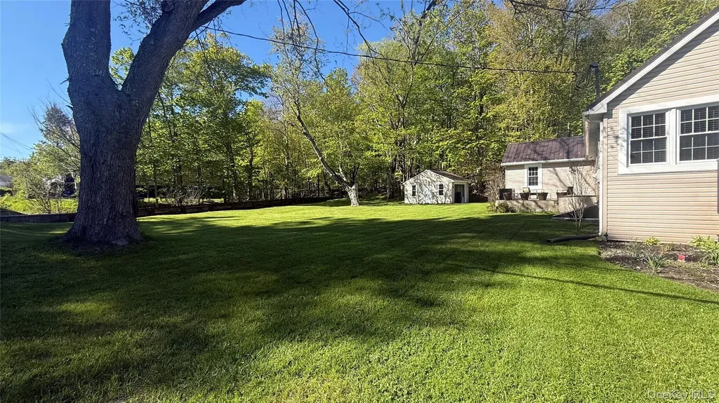 176 Mountaindale Main Street Mountain Dale NY 12763