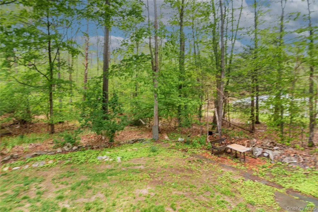 543 Dosen Road Middletown NY 10940