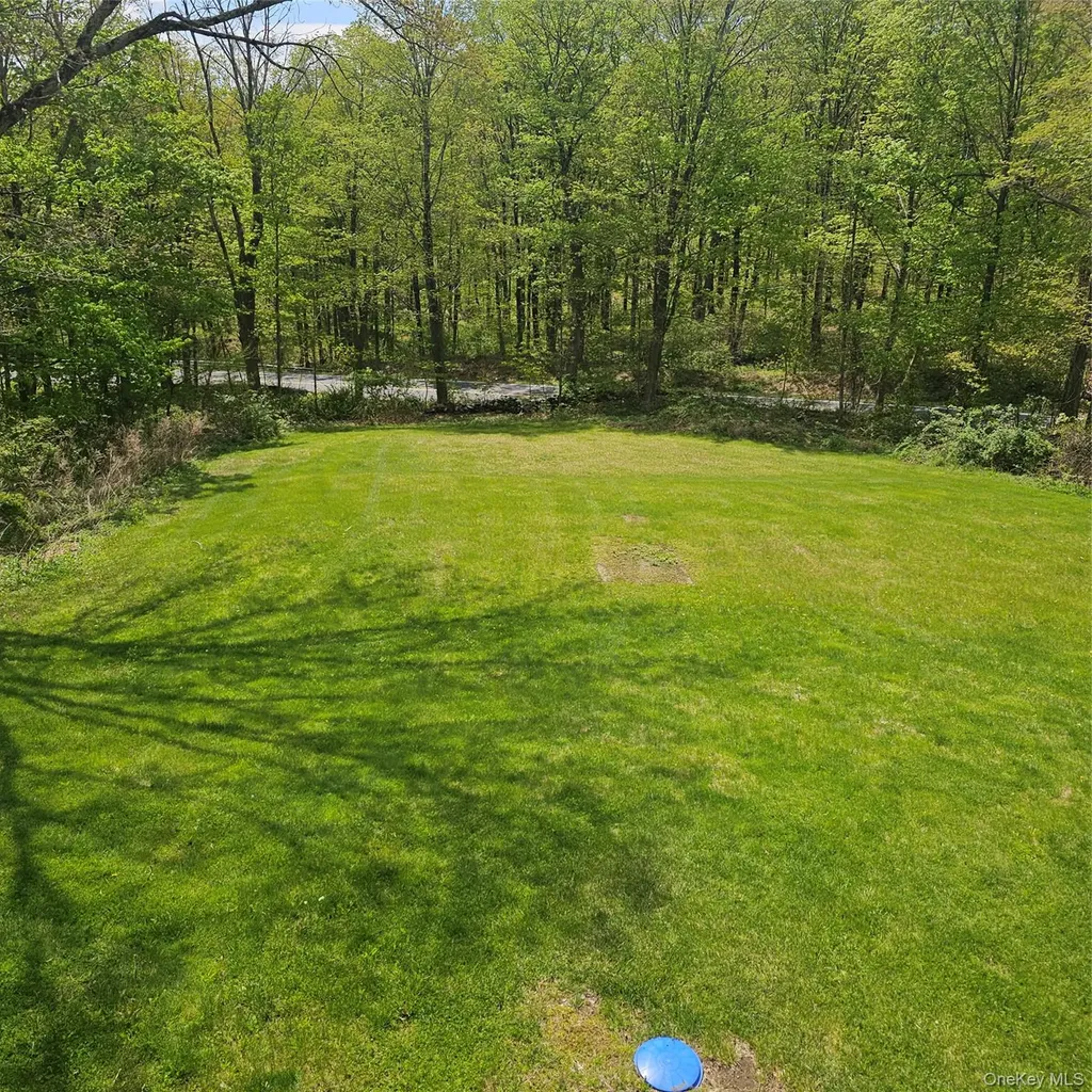 2831 Pleasant Ridge Road Wingdale NY 12594