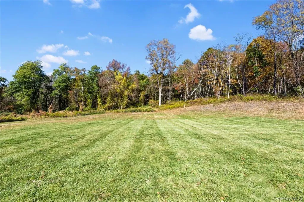 76 Woodlands Trail Clinton Corners NY 12514
