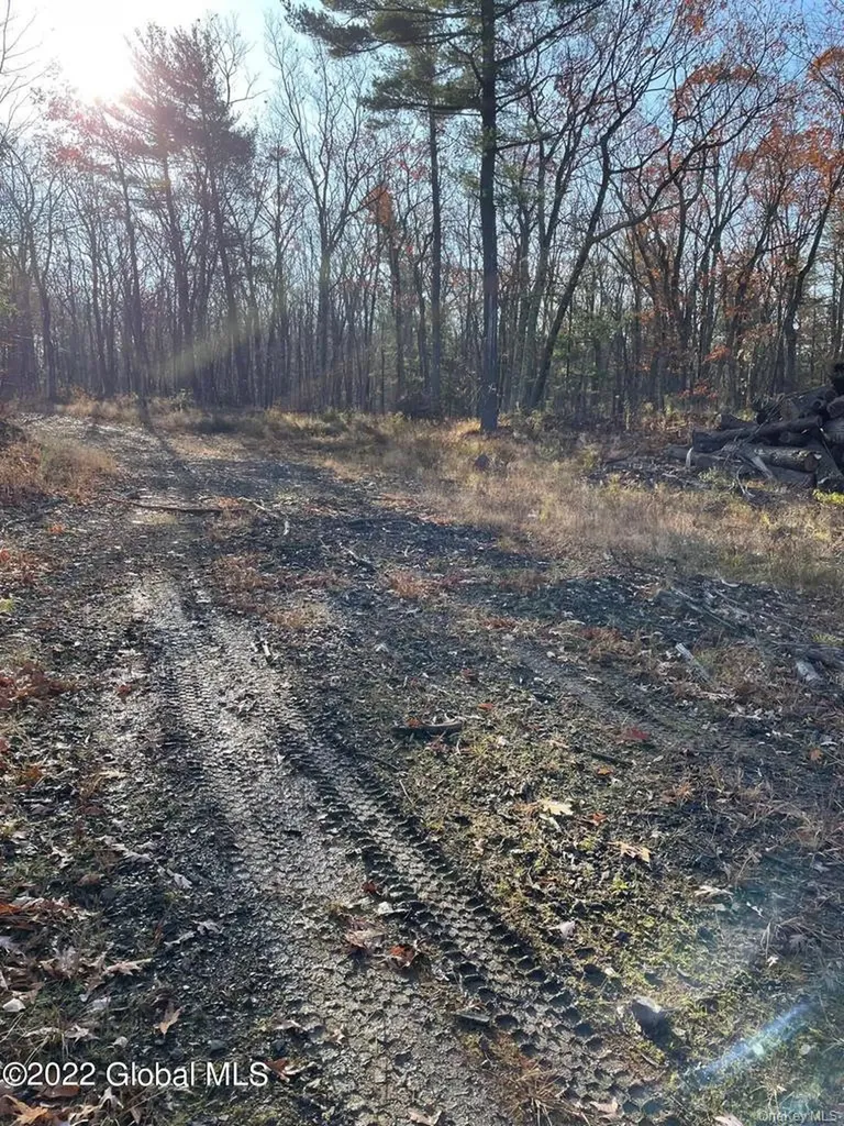 L26 & L27 Ecker Hollow Road Cobleskill NY 12043
