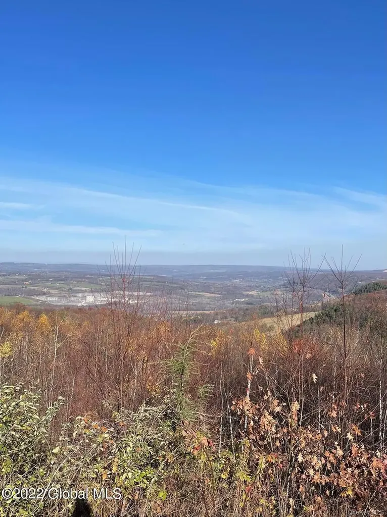L26 & L27 Ecker Hollow Road Cobleskill NY 12043