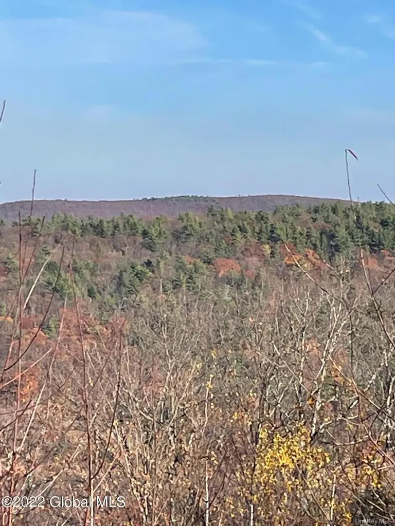 L26 & L27 Ecker Hollow Road Cobleskill NY 12043