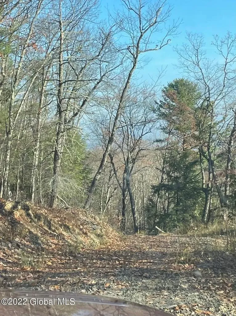L26 & L27 Ecker Hollow Road Cobleskill NY 12043
