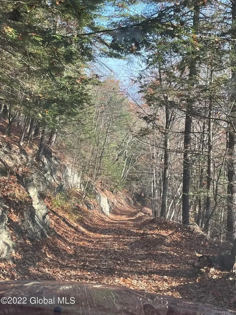 L26 & L27 Ecker Hollow Road Cobleskill NY 12043