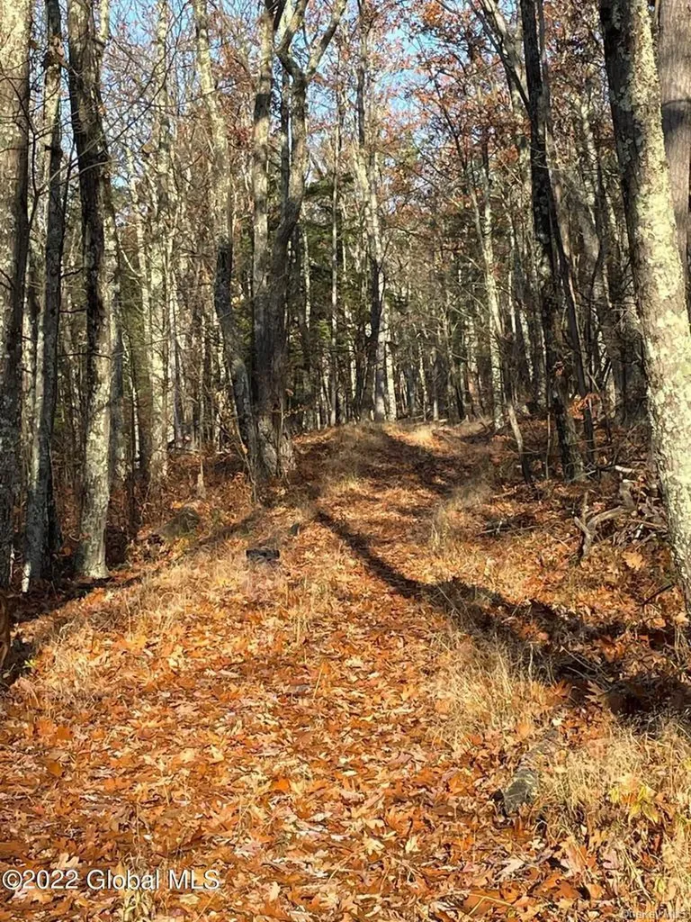 L26 & L27 Ecker Hollow Road Cobleskill NY 12043
