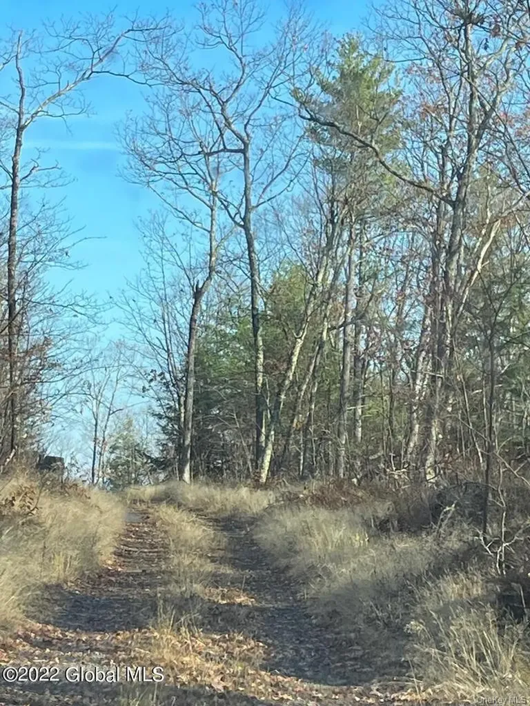 L26 & L27 Ecker Hollow Road Cobleskill NY 12043