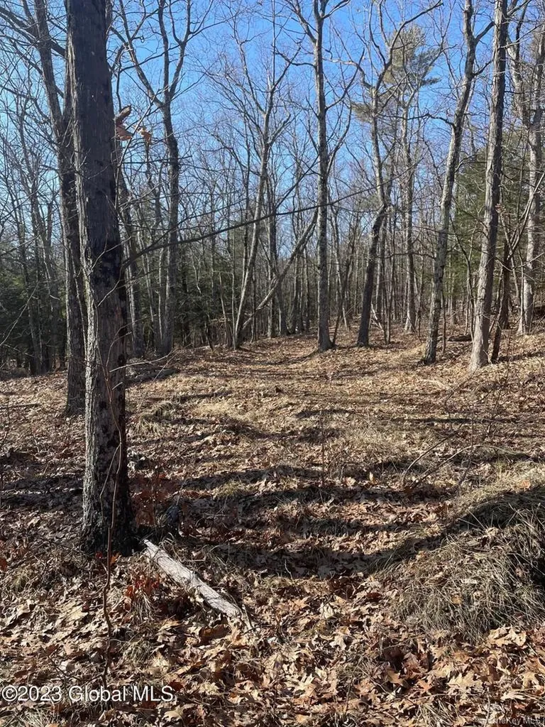 L26 & L27 Ecker Hollow Road Cobleskill NY 12043