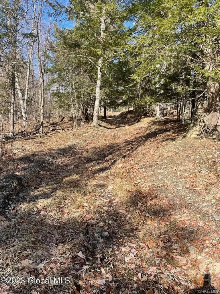 L26 & L27 Ecker Hollow Road Cobleskill NY 12043