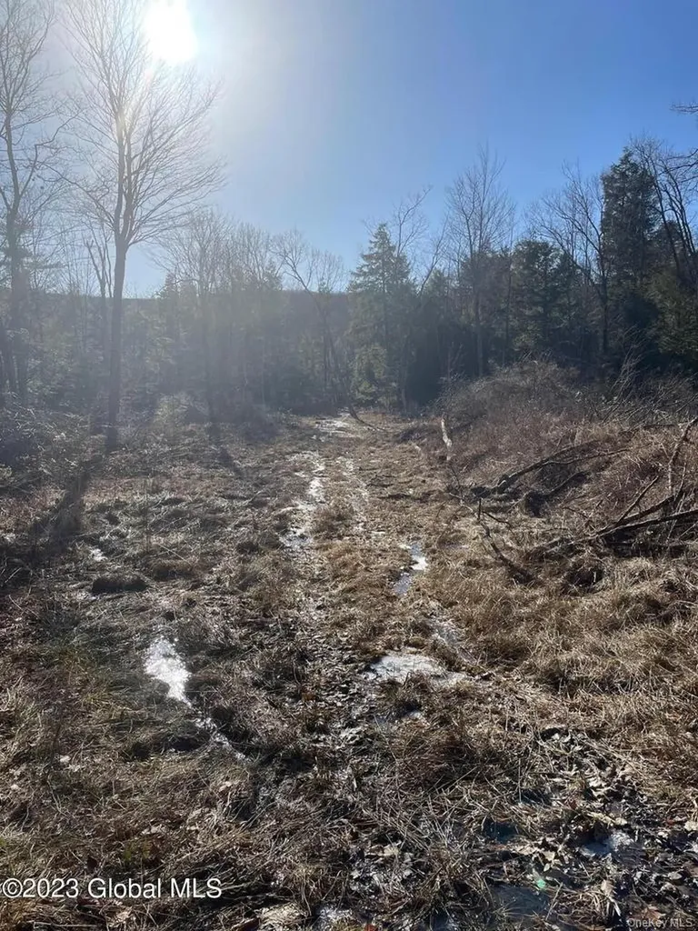 L26 & L27 Ecker Hollow Road Cobleskill NY 12043
