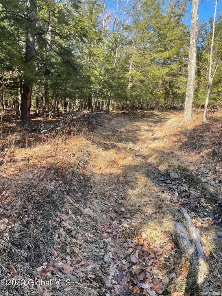L26 & L27 Ecker Hollow Road Cobleskill NY 12043