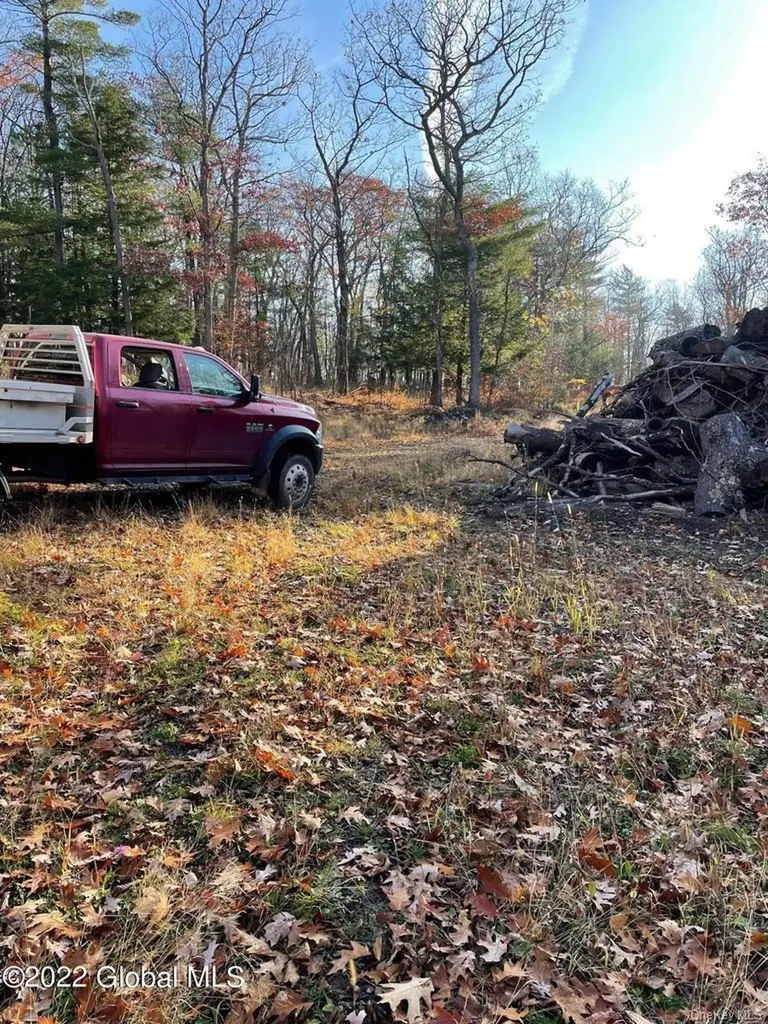 L26 & L27 Ecker Hollow Road Cobleskill NY 12043