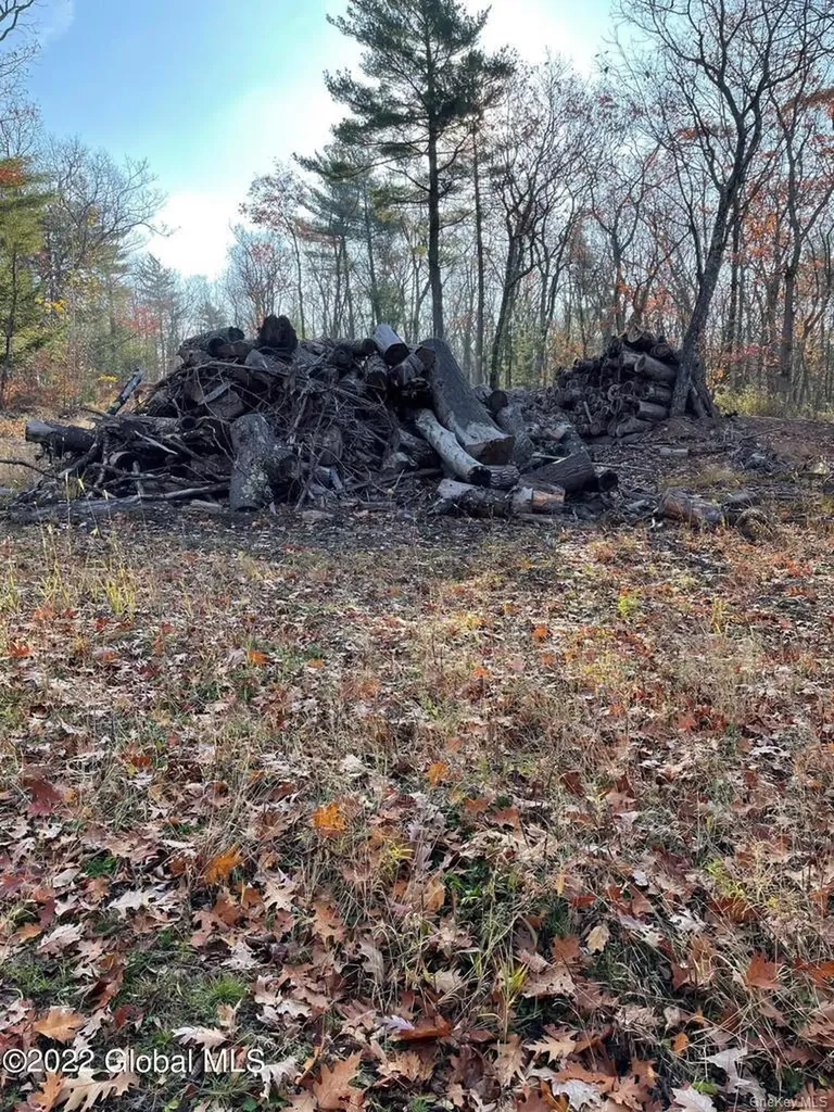 L26 & L27 Ecker Hollow Road Cobleskill NY 12043