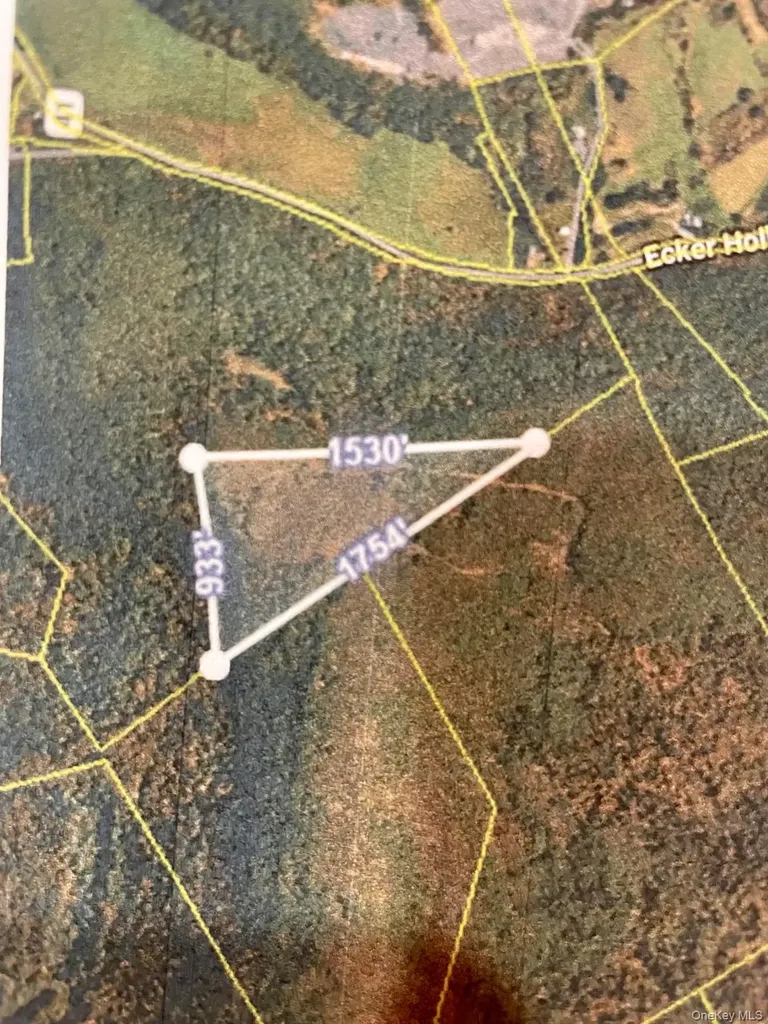 L26 & L27 Ecker Hollow Road Cobleskill NY 12043