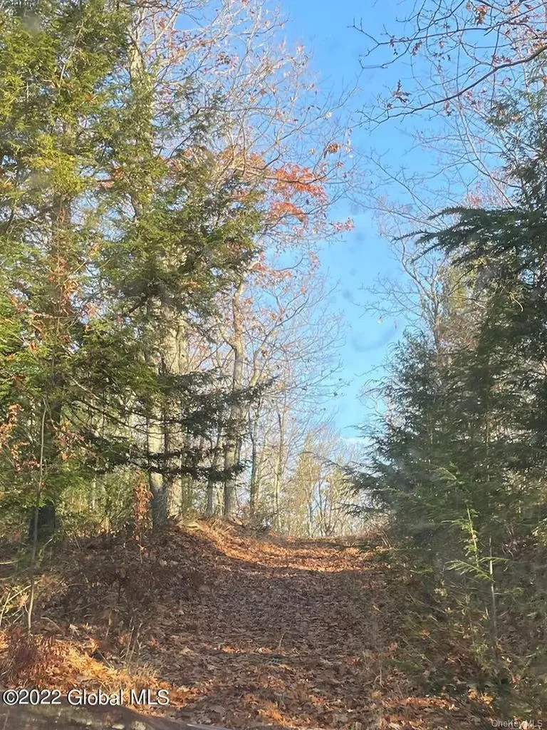 L26 & L27 Ecker Hollow Road Cobleskill NY 12043