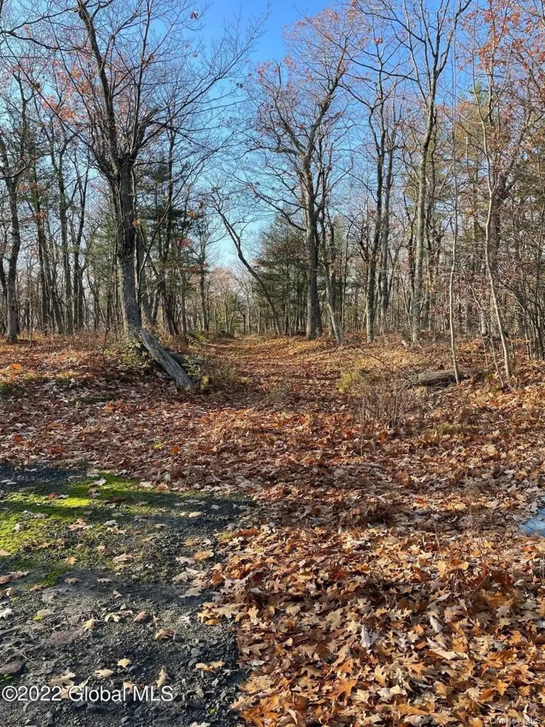 L26 & L27 Ecker Hollow Road Cobleskill NY 12043
