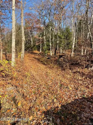 L26 & L27 Ecker Hollow Road Cobleskill NY 12043