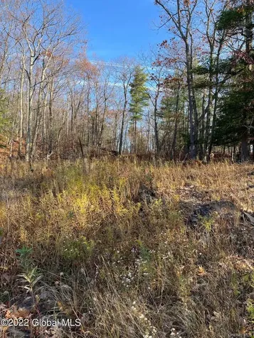 L26 & L27 Ecker Hollow Road Cobleskill NY 12043