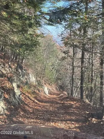 L26 & L27 Ecker Hollow Road Cobleskill NY 12043