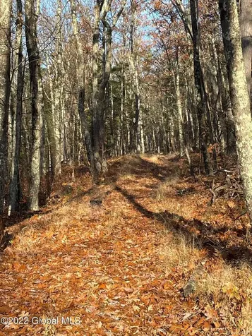 L26 & L27 Ecker Hollow Road Cobleskill NY 12043